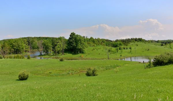 Horse Property for Sale in in King City Horse Farms and Luxury Real Estate Country Properties King City House for Sale Real Estate Listings