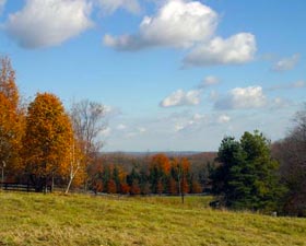 Real Estate Investment Property Listings near Toronto in Caledon and King City Vacant Land Commercial Property for Sale