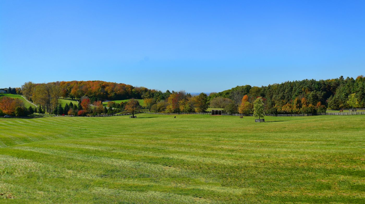 Luxury real estate and Country Homes for sale including horse farms and property in the Caledon and King City areas near Toronto