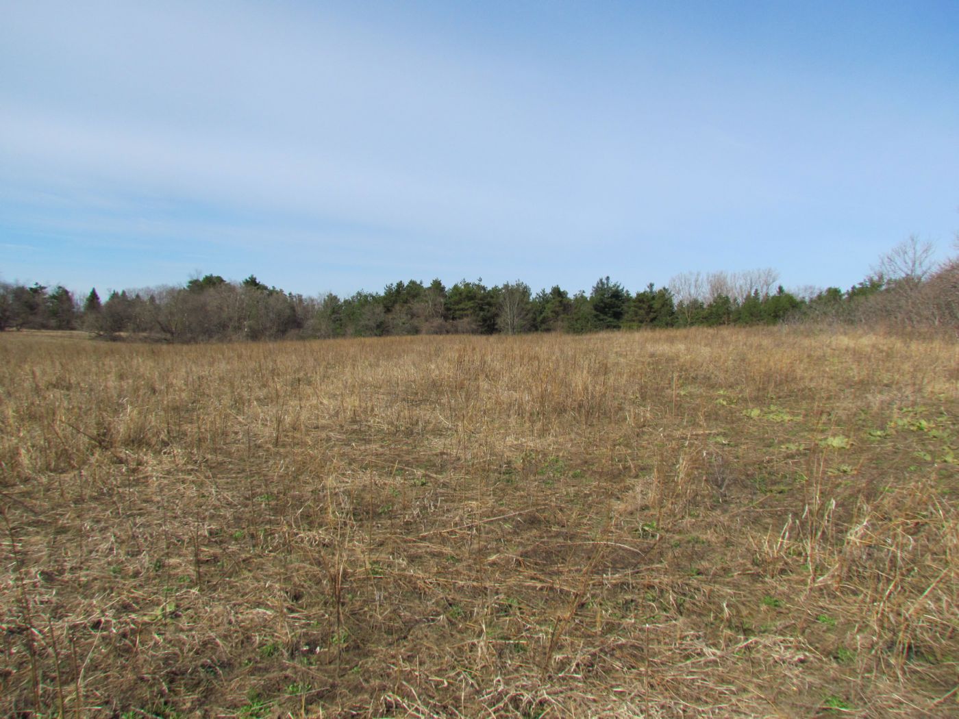 Luxury real estate and Country Homes for sale including horse farms and property in the Caledon and King City areas near Toronto