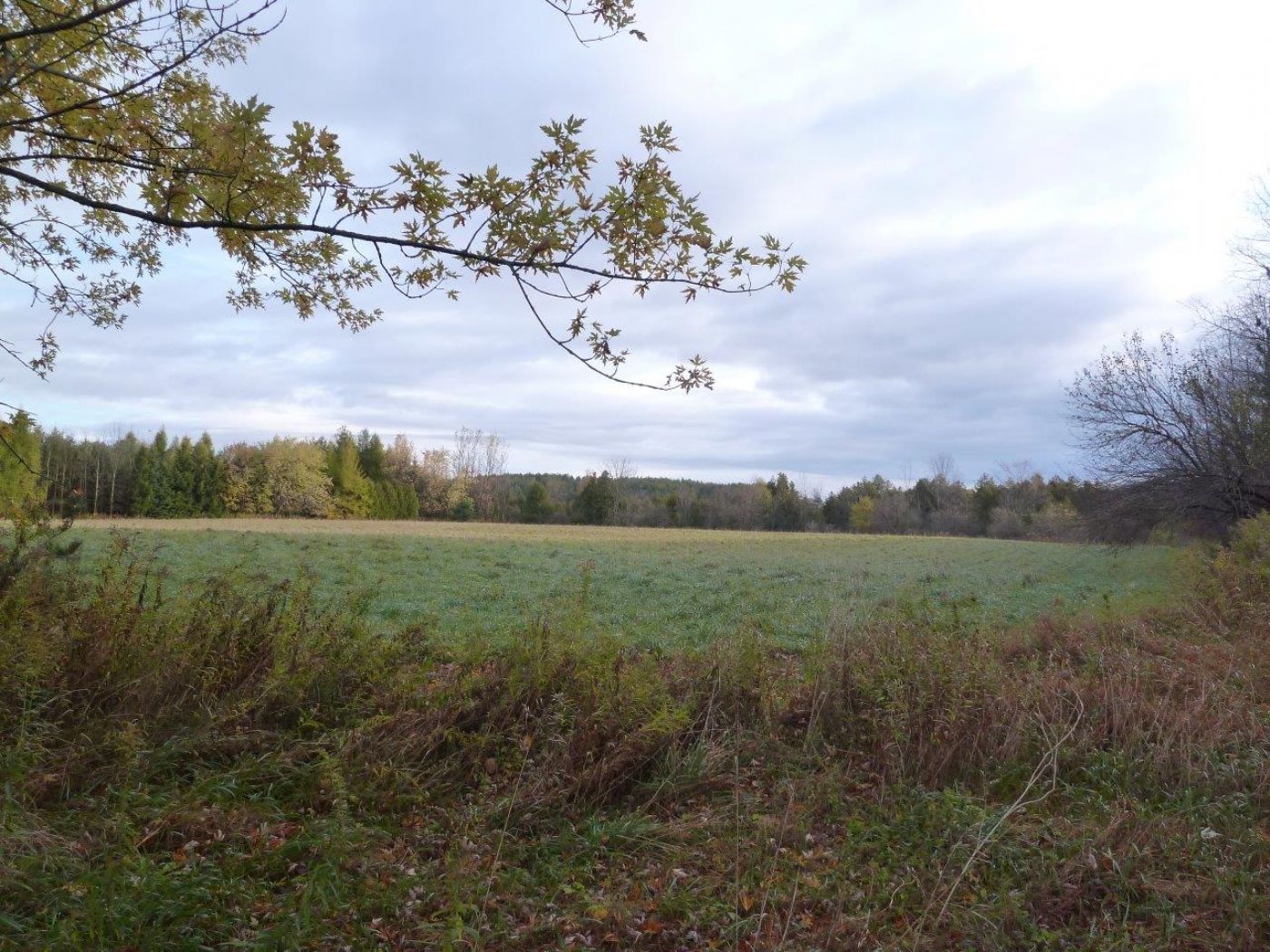 Luxury real estate and Country Homes for sale including horse farms and property in the Caledon and King City areas near Toronto