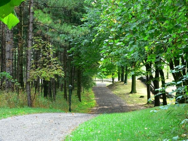 Luxury real estate and Country Homes for sale including horse farms and property in the Caledon and King City areas near Toronto