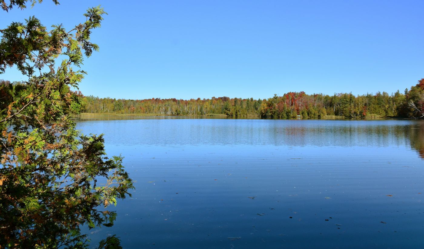 Luxury real estate and Country Homes for sale including horse farms and property in the Caledon and King City areas near Toronto