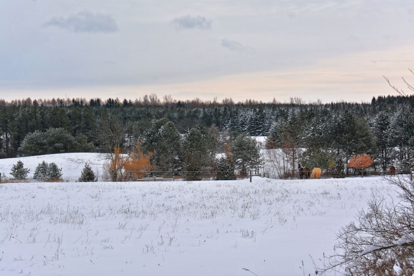 Luxury real estate and Country Homes for sale including horse farms and property in the Caledon and King City areas near Toronto