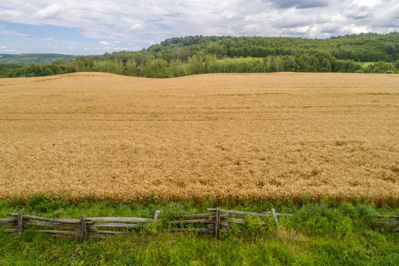 Luxury real estate and Country Homes for sale including horse farms and property in the Caledon and King City areas near Toronto