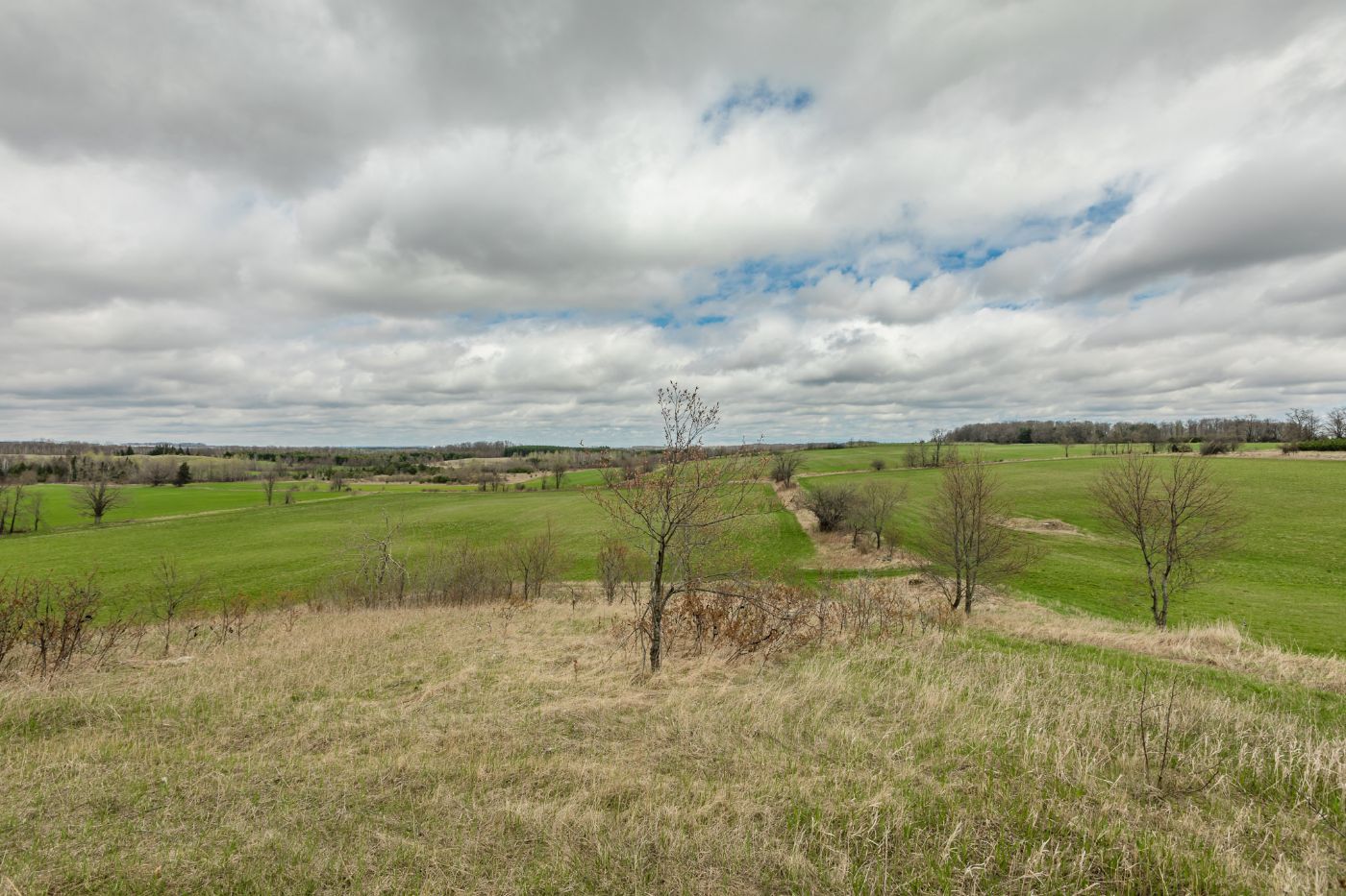 Luxury real estate and Country Homes for sale including horse farms and property in the Caledon and King City areas near Toronto