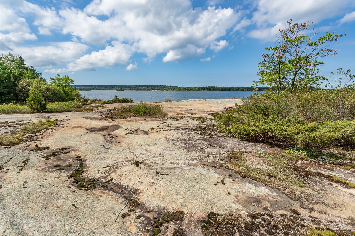 Luxury real estate and Country Homes for sale including horse farms and property in the Caledon and King City areas near Toronto