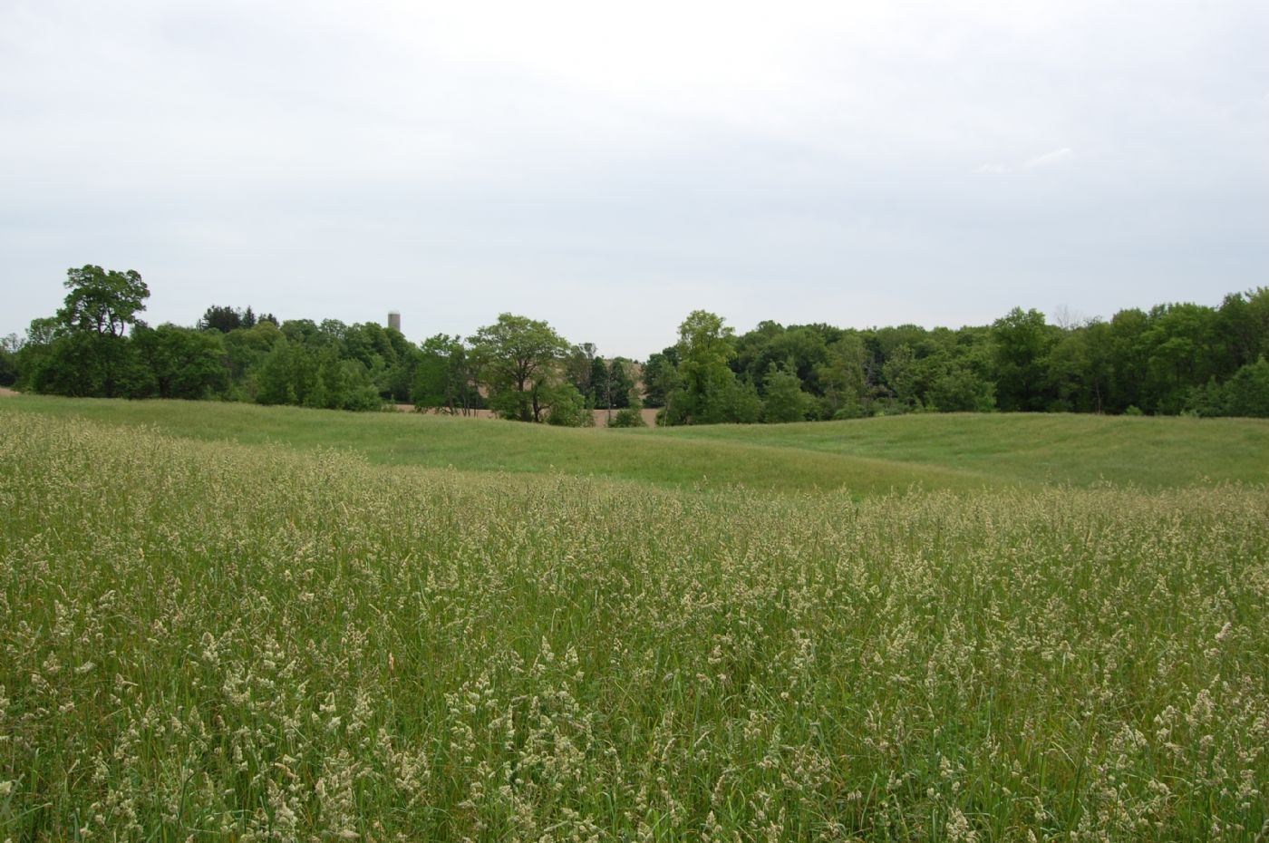 Luxury real estate and Country Homes for sale including horse farms and property in the Caledon and King City areas near Toronto