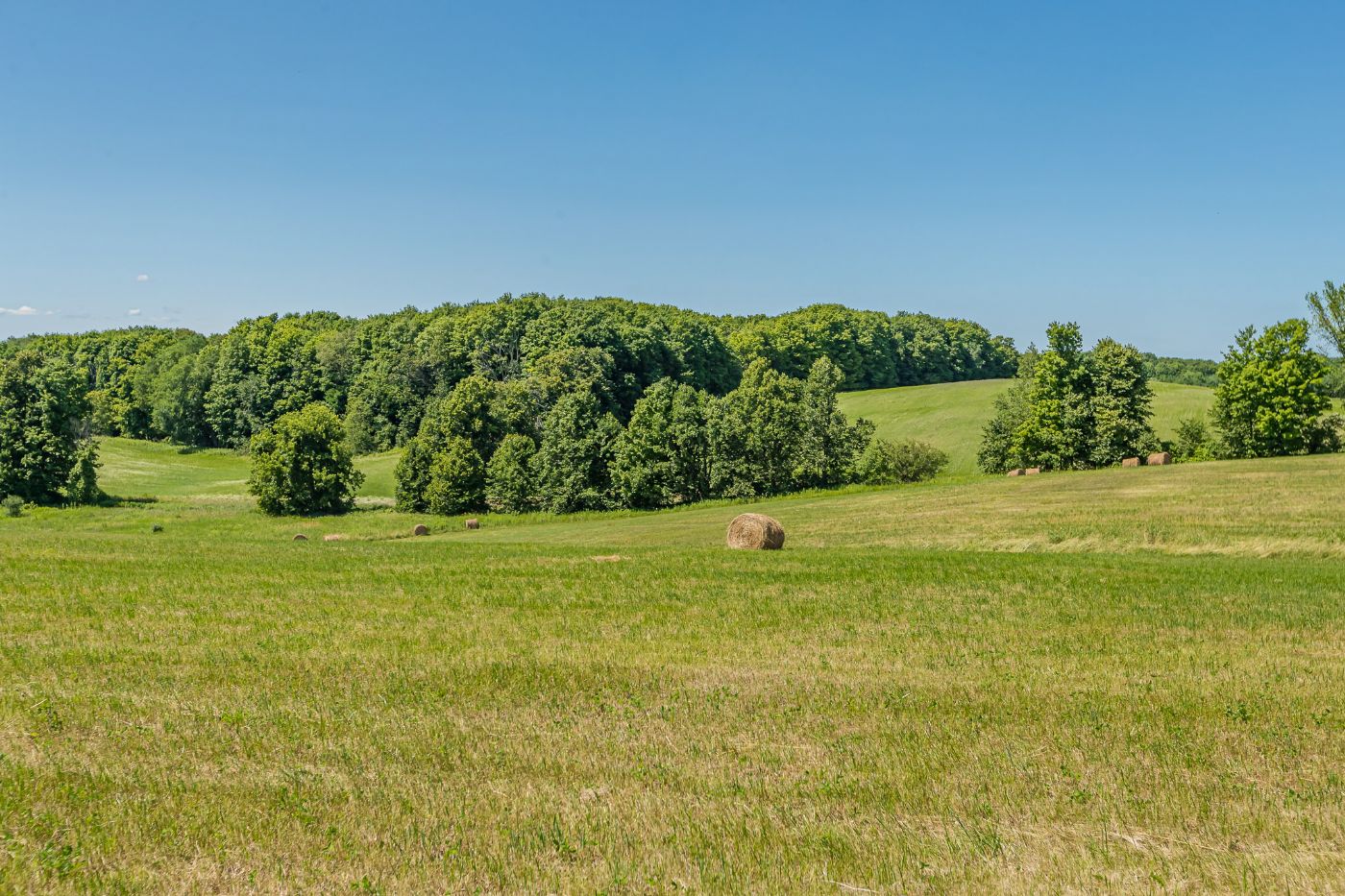 Luxury real estate and Country Homes for sale including horse farms and property in the Caledon and King City areas near Toronto