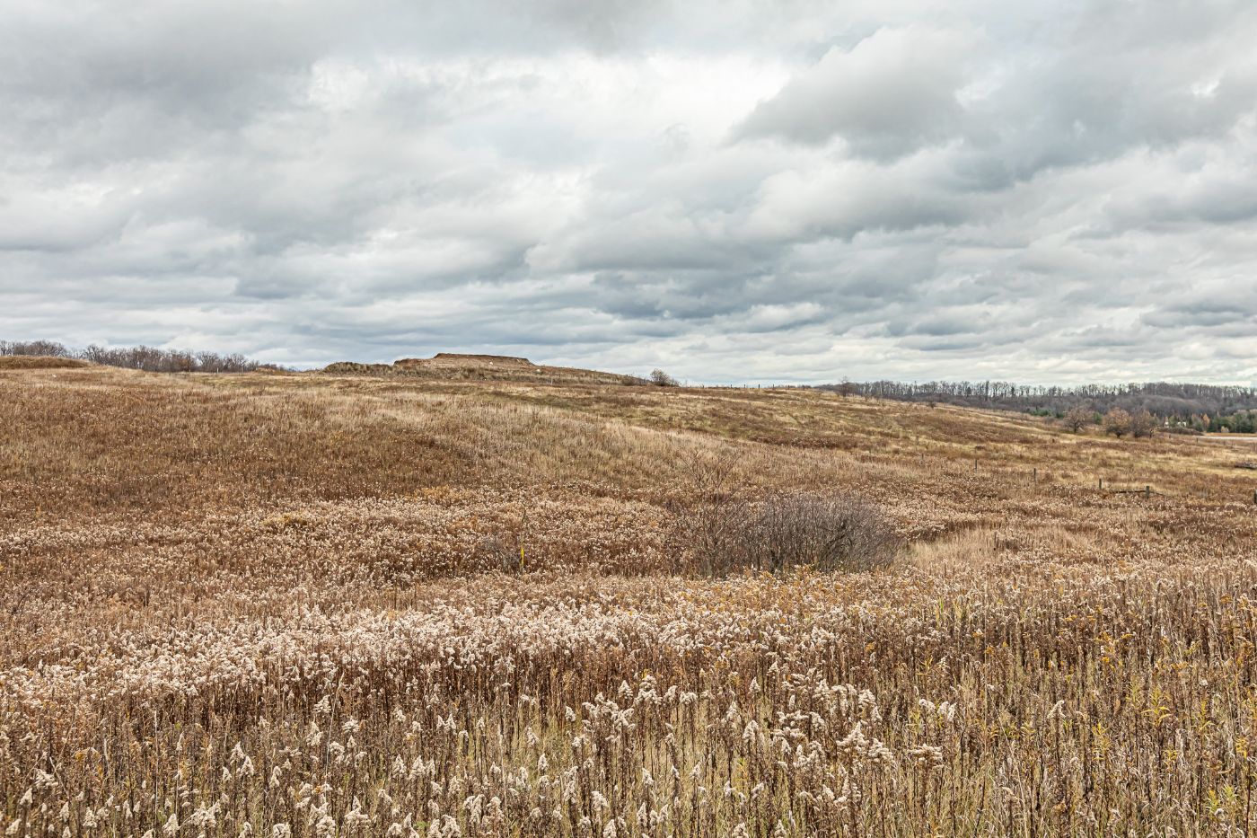 Luxury real estate and Country Homes for sale including horse farms and property in the Caledon and King City areas near Toronto