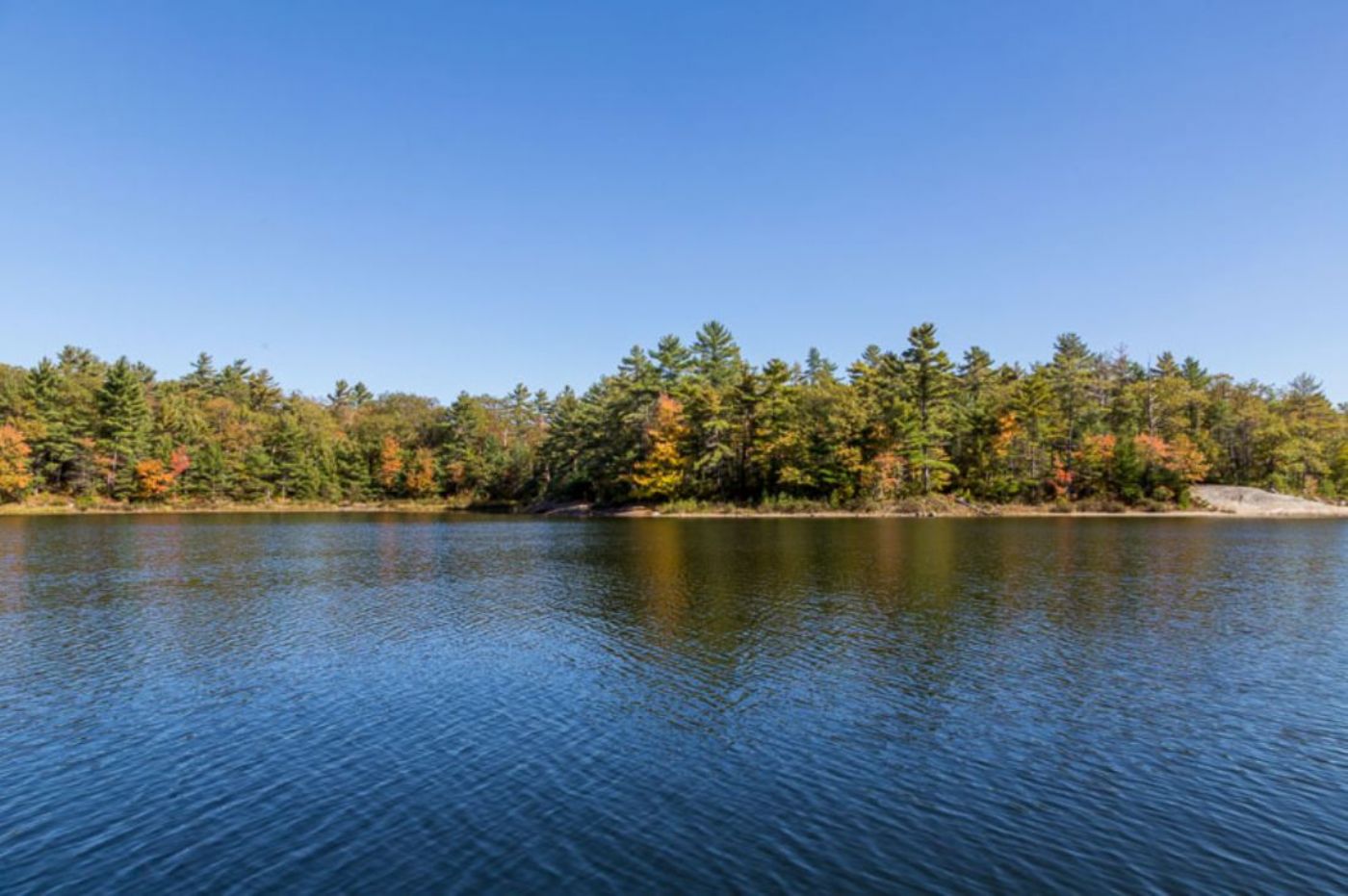 Luxury real estate and Country Homes for sale including horse farms and property in the Caledon and King City areas near Toronto