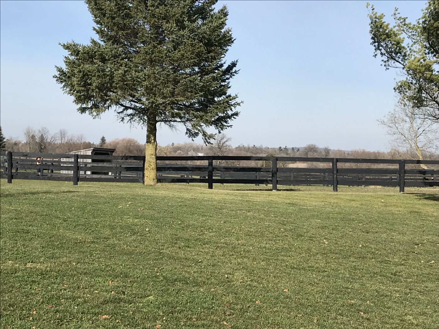 Luxury real estate and Country Homes for sale including horse farms and property in the Caledon and King City areas near Toronto