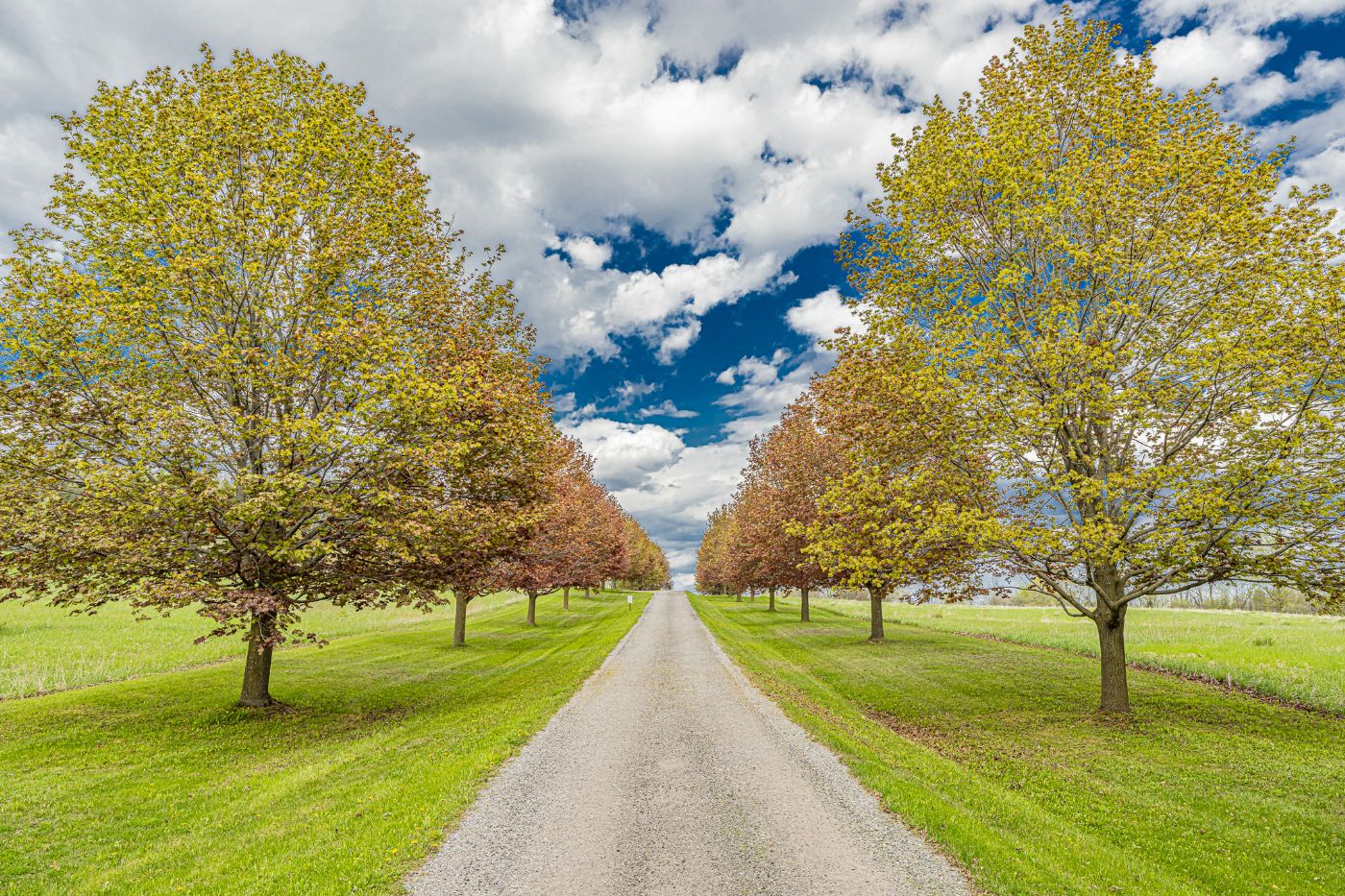 Luxury real estate and Country Homes for sale including horse farms and property in the Caledon and King City areas near Toronto