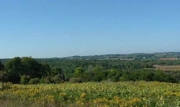 Luxury real estate and Country Homes for sale including horse farms and property in the Caledon and King City areas near Toronto