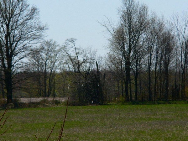 Luxury real estate and Country Homes for sale including horse farms and property in the Caledon and King City areas near Toronto