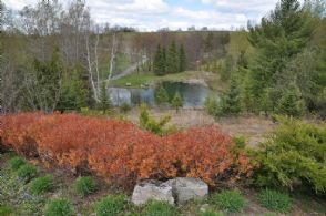 View to Pond - Country homes for sale and luxury real estate including horse farms and property in the Caledon and King City areas near Toronto