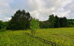 Meadow - Country homes for sale and luxury real estate including horse farms and property in the Caledon and King City areas near Toronto