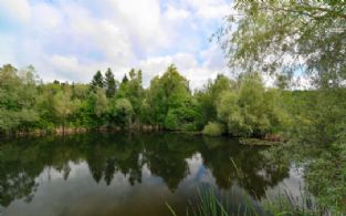 Pond - Country homes for sale and luxury real estate including horse farms and property in the Caledon and King City areas near Toronto