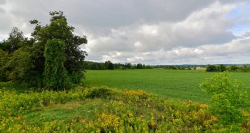 West View - Country homes for sale and luxury real estate including horse farms and property in the Caledon and King City areas near Toronto