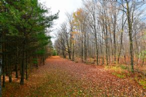 Riding Trails - Country homes for sale and luxury real estate including horse farms and property in the Caledon and King City areas near Toronto
