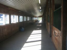 Stalls - Country homes for sale and luxury real estate including horse farms and property in the Caledon and King City areas near Toronto