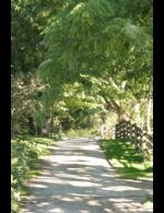 Front Drive - Country homes for sale and luxury real estate including horse farms and property in the Caledon and King City areas near Toronto
