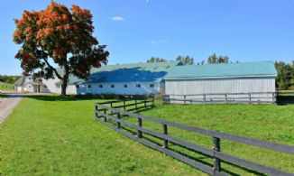 Horse Country, Mono, Ontario, Canada - Country homes for sale and luxury real estate including horse farms and property in the Caledon and King City areas near Toronto