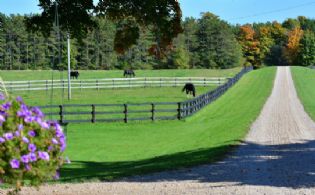 Horse Country, Mono, Ontario, Canada - Country homes for sale and luxury real estate including horse farms and property in the Caledon and King City areas near Toronto