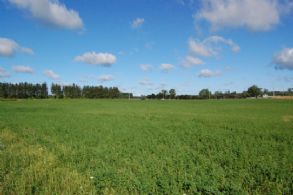 Goodwood Farm, Goodwood - Country homes for sale and luxury real estate including horse farms and property in the Caledon and King City areas near Toronto