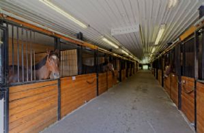 Main Aisle - Country homes for sale and luxury real estate including horse farms and property in the Caledon and King City areas near Toronto