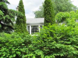 Kettleby Bungalow, Kettleby, King - Country homes for sale and luxury real estate including horse farms and property in the Caledon and King City areas near Toronto