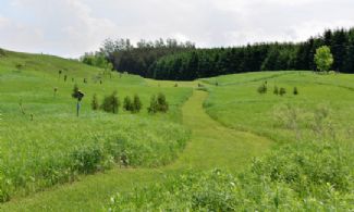 Trail Network - Country homes for sale and luxury real estate including horse farms and property in the Caledon and King City areas near Toronto