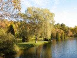 The Large Pond - Country homes for sale and luxury real estate including horse farms and property in the Caledon and King City areas near Toronto