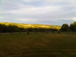 Views over Northumberland Hill - Country homes for sale and luxury real estate including horse farms and property in the Caledon and King City areas near Toronto