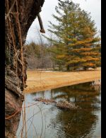 Stream - Country homes for sale and luxury real estate including horse farms and property in the Caledon and King City areas near Toronto