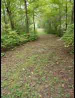 Trails - Country homes for sale and luxury real estate including horse farms and property in the Caledon and King City areas near Toronto