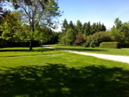 Driveway - Country homes for sale and luxury real estate including horse farms and property in the Caledon and King City areas near Toronto
