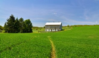 Looking West - Country homes for sale and luxury real estate including horse farms and property in the Caledon and King City areas near Toronto