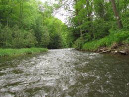 Credit River Flows Through Property - Country homes for sale and luxury real estate including horse farms and property in the Caledon and King City areas near Toronto