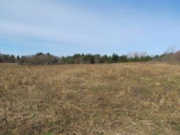 Rare King Building Lot - Country Homes for sale and Luxury Real Estate in Caledon and King City including Horse Farms and Property for sale near Toronto