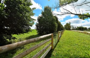 50 Acres, King , King, Ontario , Canada - Country homes for sale and luxury real estate including horse farms and property in the Caledon and King City areas near Toronto