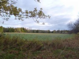 20 Mono Centre Acres - Country Homes for sale and Luxury Real Estate in Caledon and King City including Horse Farms and Property for sale near Toronto