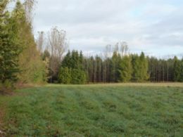 20 Mono Centre Acres, Mono - Country homes for sale and luxury real estate including horse farms and property in the Caledon and King City areas near Toronto