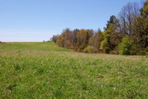 King Building Lot - Country Homes for sale and Luxury Real Estate in Caledon and King City including Horse Farms and Property for sale near Toronto