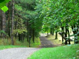 100 Acre Building Lot - Country Homes for sale and Luxury Real Estate in Caledon and King City including Horse Farms and Property for sale near Toronto