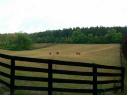 Paddocks - Country homes for sale and luxury real estate including horse farms and property in the Caledon and King City areas near Toronto