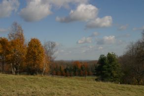 View - Country homes for sale and luxury real estate including horse farms and property in the Caledon and King City areas near Toronto