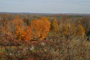 View - Country homes for sale and luxury real estate including horse farms and property in the Caledon and King City areas near Toronto