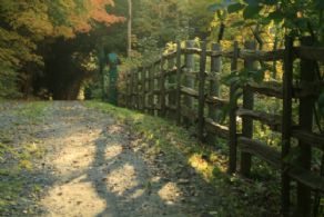 Front Lane - Country homes for sale and luxury real estate including horse farms and property in the Caledon and King City areas near Toronto
