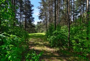 Trails throughout - Country homes for sale and luxury real estate including horse farms and property in the Caledon and King City areas near Toronto